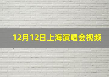 12月12日上海演唱会视频