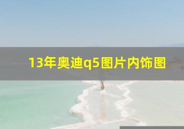 13年奥迪q5图片内饰图