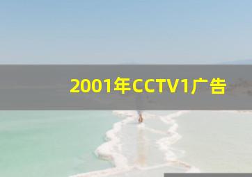 2001年CCTV1广告