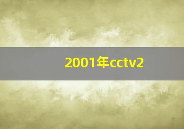 2001年cctv2