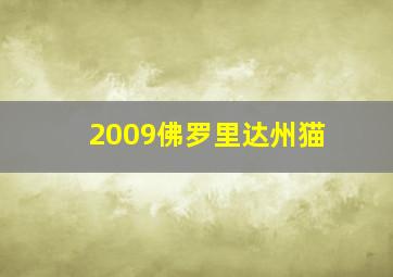 2009佛罗里达州猫