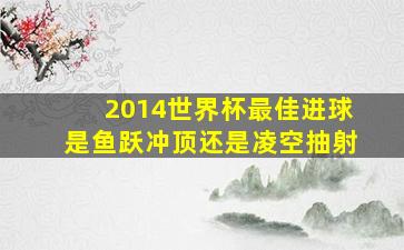 2014世界杯最佳进球是鱼跃冲顶还是凌空抽射