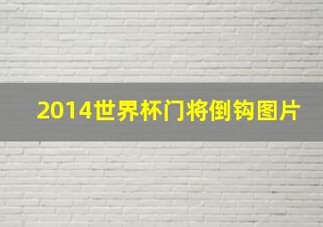 2014世界杯门将倒钩图片