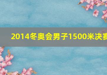 2014冬奥会男子1500米决赛