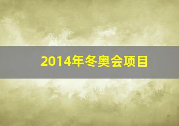 2014年冬奥会项目