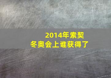 2014年索契冬奥会上谁获得了