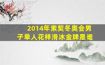 2014年索契冬奥会男子单人花样滑冰金牌是谁