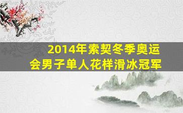 2014年索契冬季奥运会男子单人花样滑冰冠军