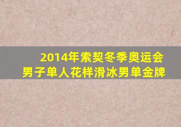 2014年索契冬季奥运会男子单人花样滑冰男单金牌