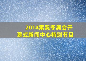 2014索契冬奥会开幕式新闻中心特别节目