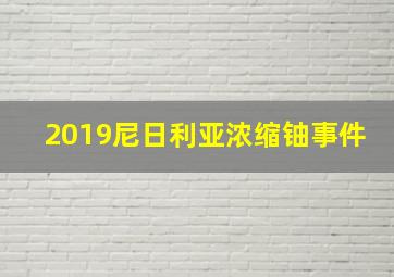 2019尼日利亚浓缩铀事件