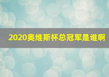 2020奥维斯杯总冠军是谁啊