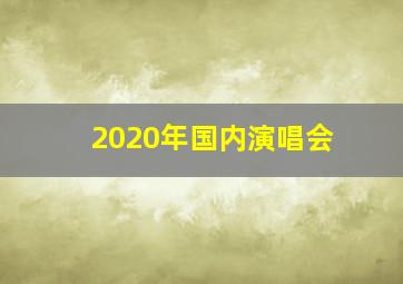 2020年国内演唱会