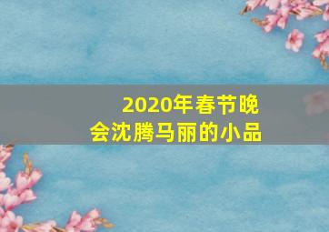 2020年春节晚会沈腾马丽的小品