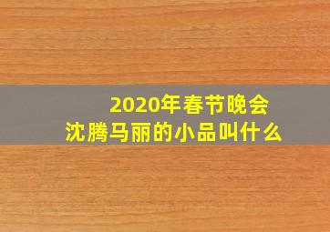 2020年春节晚会沈腾马丽的小品叫什么