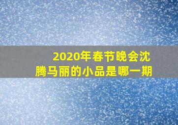 2020年春节晚会沈腾马丽的小品是哪一期