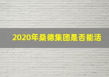 2020年桑德集团是否能活