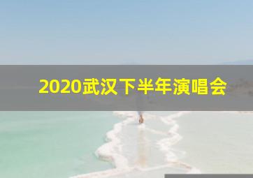 2020武汉下半年演唱会