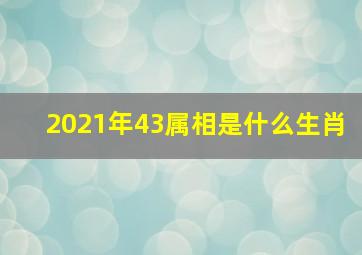 2021年43属相是什么生肖