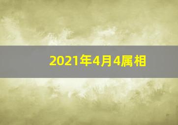 2021年4月4属相