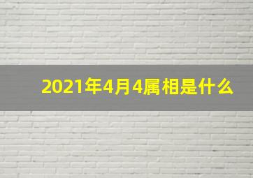 2021年4月4属相是什么