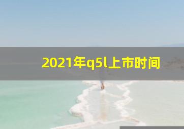 2021年q5l上市时间