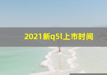 2021新q5l上市时间