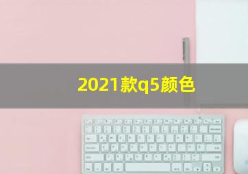 2021款q5颜色