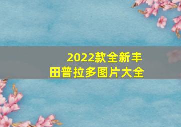 2022款全新丰田普拉多图片大全