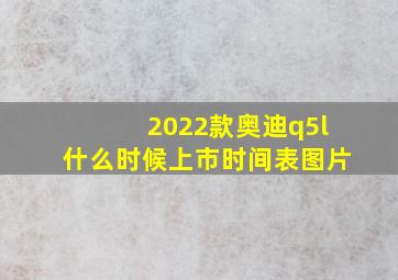 2022款奥迪q5l什么时候上市时间表图片