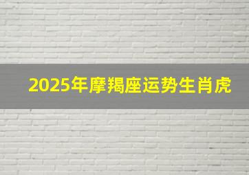 2025年摩羯座运势生肖虎