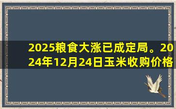 2025粮食大涨已成定局。2024年12月24日玉米收购价格