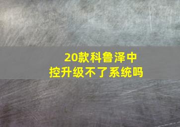 20款科鲁泽中控升级不了系统吗