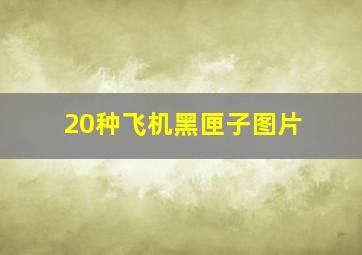 20种飞机黑匣子图片