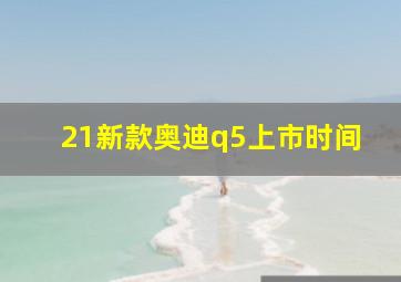 21新款奥迪q5上市时间