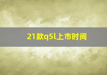 21款q5l上市时间