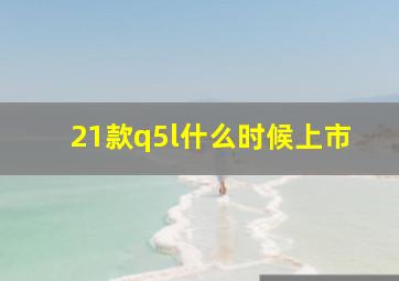 21款q5l什么时候上市