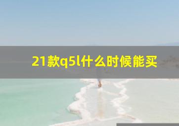 21款q5l什么时候能买