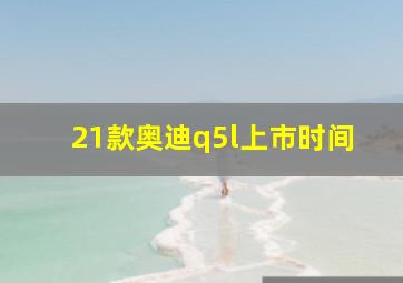 21款奥迪q5l上市时间