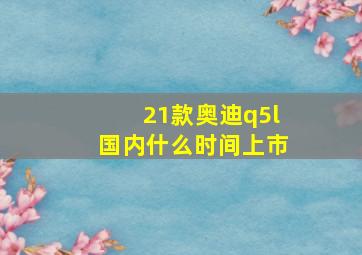 21款奥迪q5l国内什么时间上市