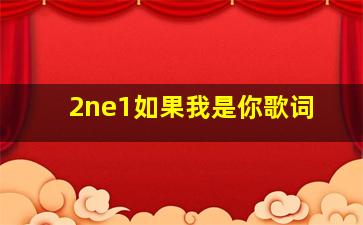 2ne1如果我是你歌词