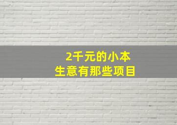 2千元的小本生意有那些项目