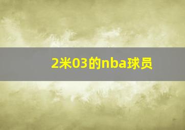 2米03的nba球员