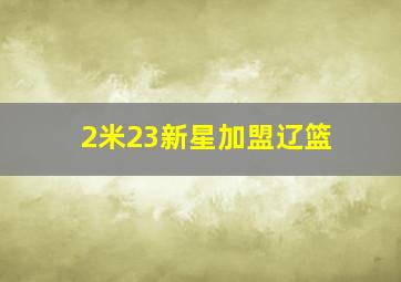 2米23新星加盟辽篮