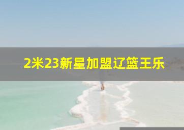 2米23新星加盟辽篮王乐