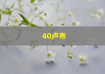 40卢布