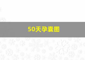 50天孕囊图