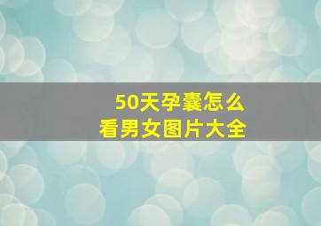 50天孕囊怎么看男女图片大全