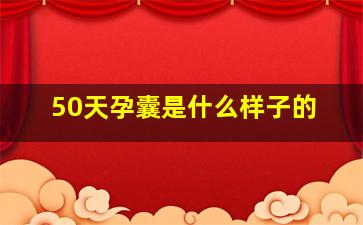 50天孕囊是什么样子的