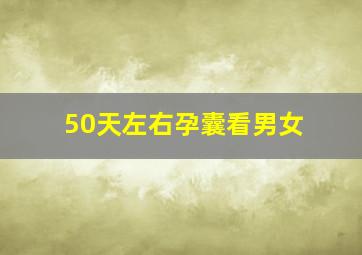 50天左右孕囊看男女